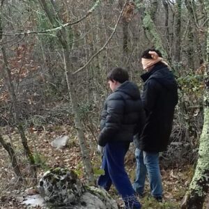 exploration binome arbre