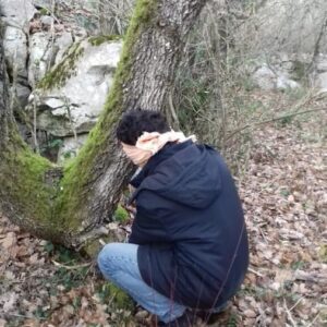 exploration sensorielle arbre
