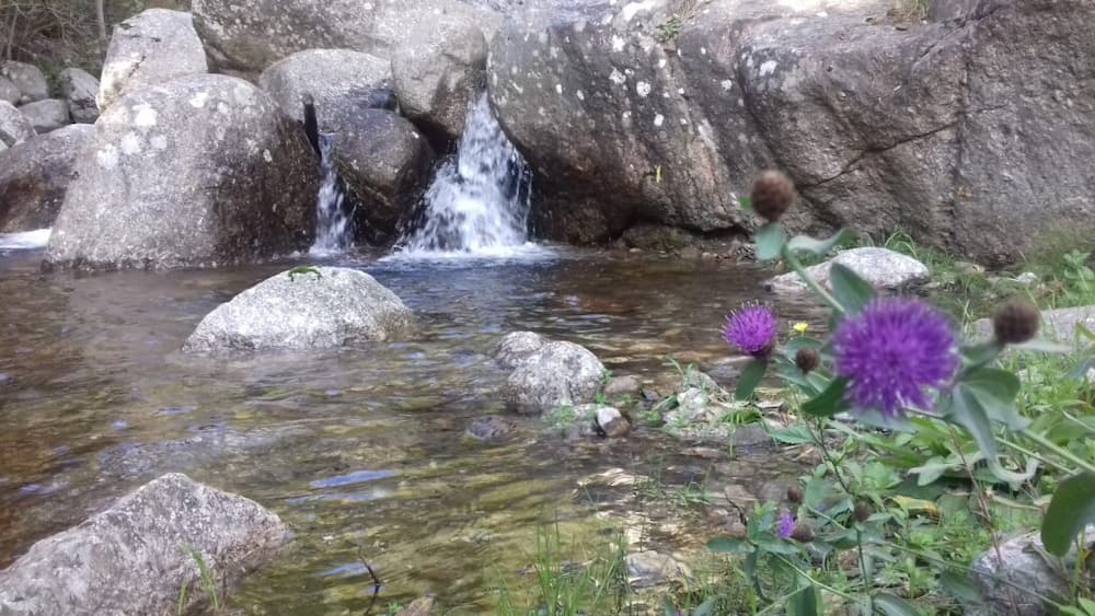 cascade rivière zen