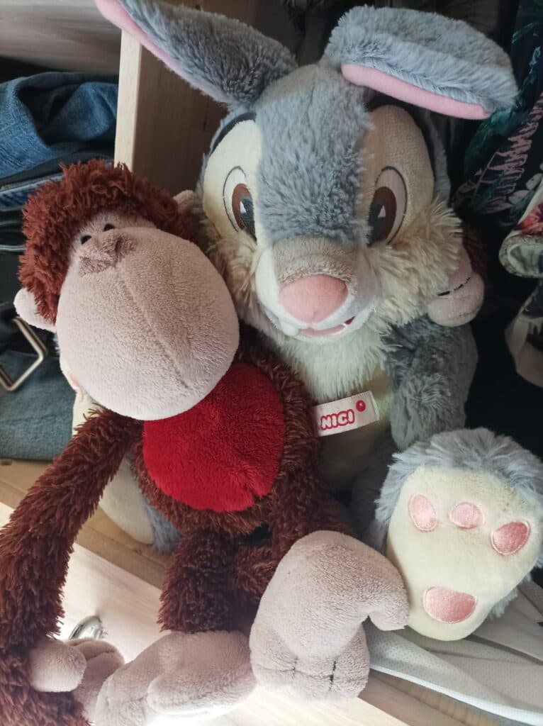 indispensables-non-utiles minimalisme