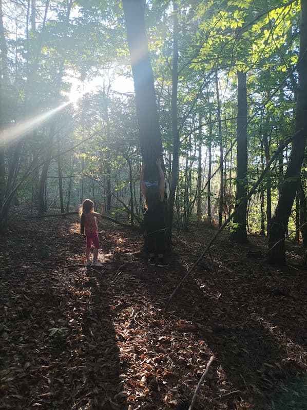 sortie-foret-en-famille-ardeche