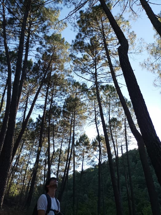 sylvotherapie-ardeche-contemplation