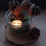 photophore pomme de pin